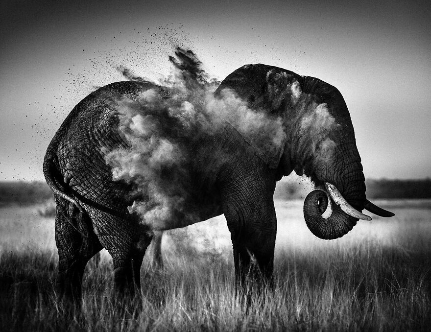 All About Photo Is Pleased To Present “Africa” By Laurent Baheux (20 Pics) All About Photo Is Pleased To Present “Africa” By Laurent Baheux (20 Pics)