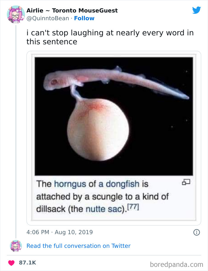 50 People Who Knew Exactly What They Were Doing And Still Went For It (New Pics) 50 People Who Knew Exactly What They Were Doing And Still Went For It (New Pics)