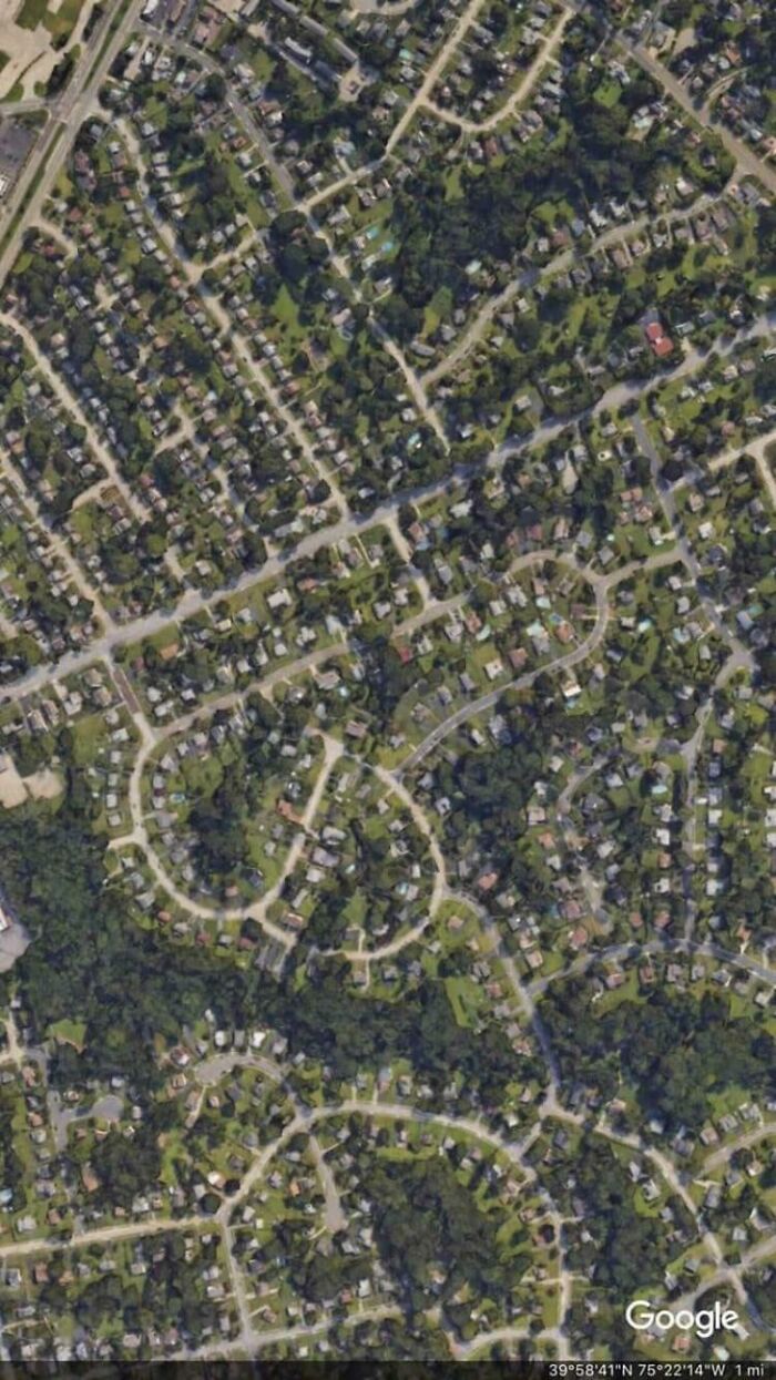 50 People Who Knew Exactly What They Were Doing And Still Went For It (New Pics) 50 People Who Knew Exactly What They Were Doing And Still Went For It (New Pics)