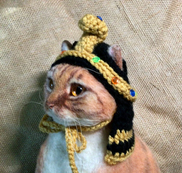 Cat Hats For Every Occasion: This Artist Crochets Funky Hats For Cats, And Here Are Her Best 30 Works Cat Hats For Every Occasion: This Artist Crochets Funky Hats For Cats, And Here Are Her Best 30 Works