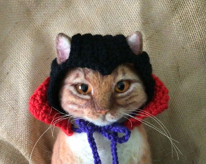 Cat Hats For Every Occasion: This Artist Crochets Funky Hats For Cats, And Here Are Her Best 30 Works Cat Hats For Every Occasion: This Artist Crochets Funky Hats For Cats, And Here Are Her Best 30 Works