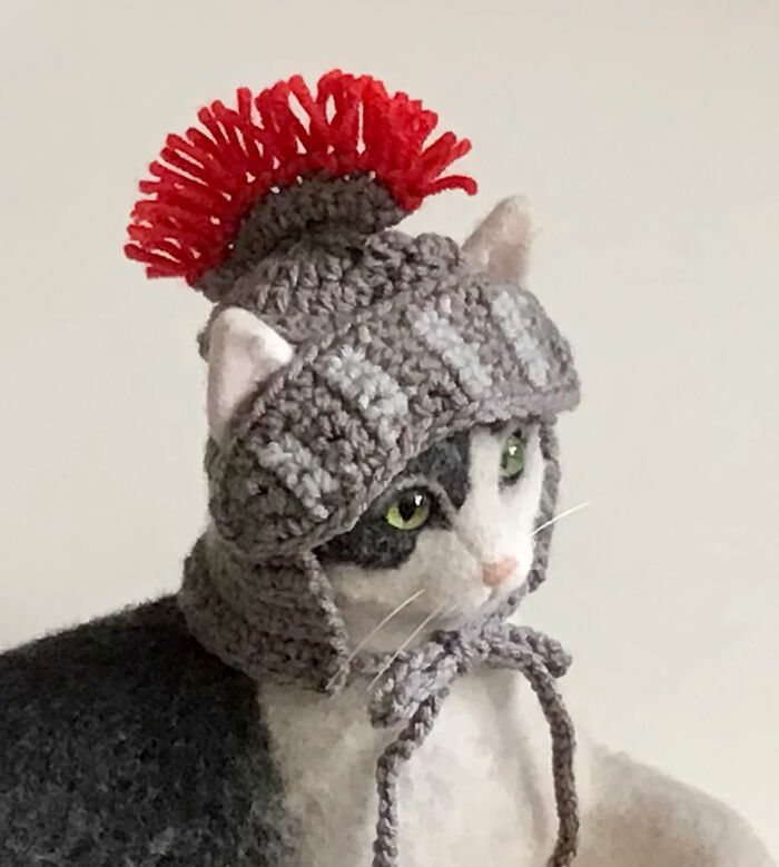 Cat Hats For Every Occasion: This Artist Crochets Funky Hats For Cats, And Here Are Her Best 30 Works Cat Hats For Every Occasion: This Artist Crochets Funky Hats For Cats, And Here Are Her Best 30 Works