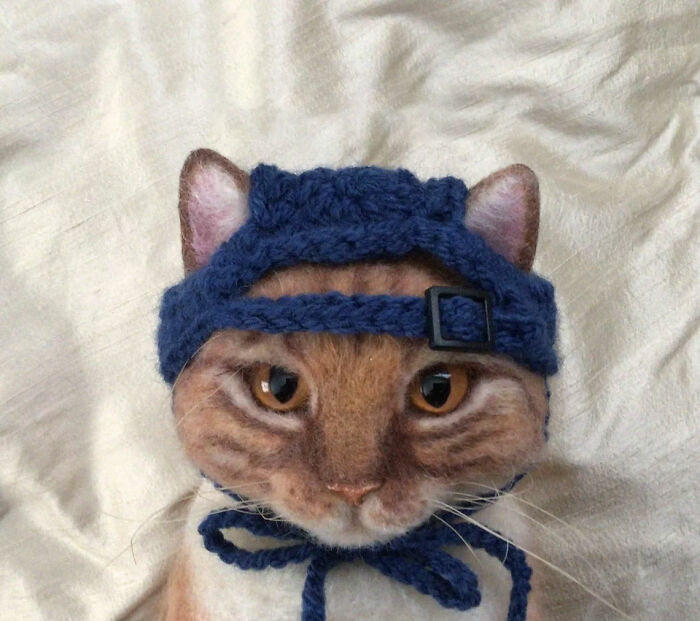 Cat Hats For Every Occasion: This Artist Crochets Funky Hats For Cats, And Here Are Her Best 30 Works Cat Hats For Every Occasion: This Artist Crochets Funky Hats For Cats, And Here Are Her Best 30 Works