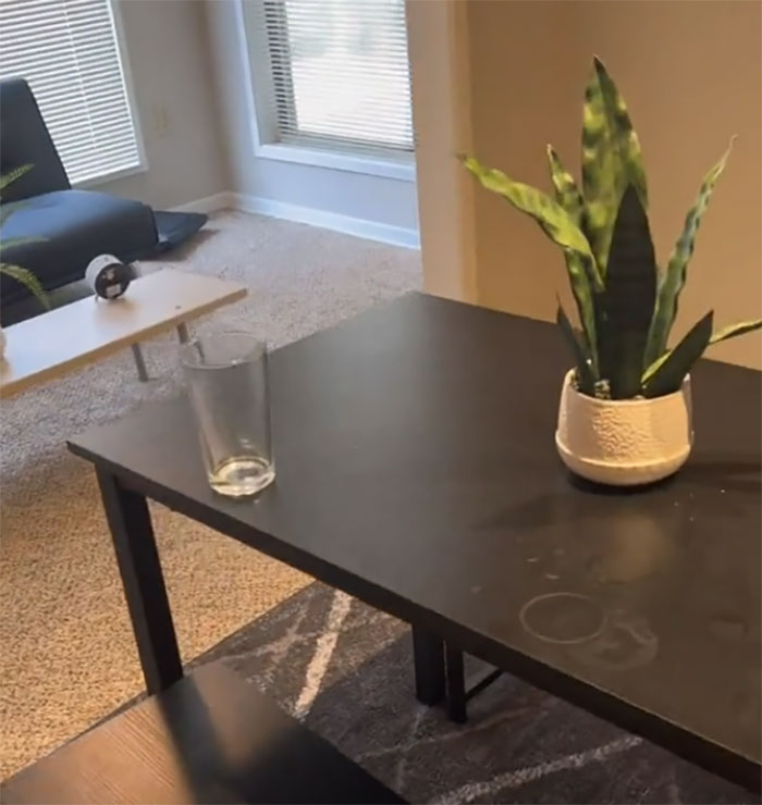 Airbnb Host Is Disgusted With Guest Who Didn’t Clean After Themself In The Apartment, Gets Destroyed Online Airbnb Host Is Disgusted With Guest Who Didn’t Clean After Themself In The Apartment, Gets Destroyed Online