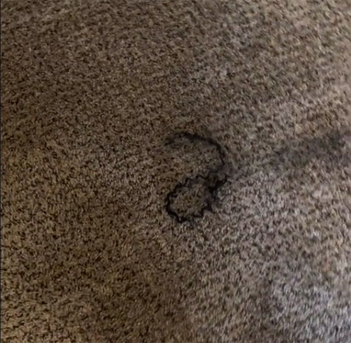 Airbnb Host Is Disgusted With Guest Who Didn’t Clean After Themself In The Apartment, Gets Destroyed Online Airbnb Host Is Disgusted With Guest Who Didn’t Clean After Themself In The Apartment, Gets Destroyed Online