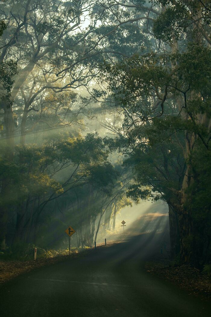 30 Times People Snapped A Pic And Realized It Was &ldquo;Accidental Renaissance&rdquo; (New Pics)