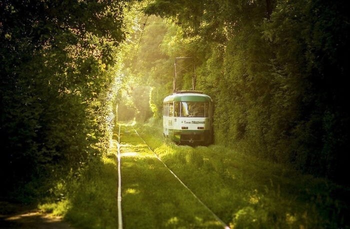 30 Times People Snapped A Pic And Realized It Was &ldquo;Accidental Renaissance&rdquo; (New Pics)