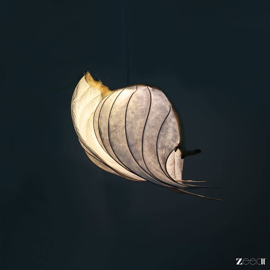 From My Imagination To Illumination (15 Pics) From My Imagination To Illumination (15 Pics)