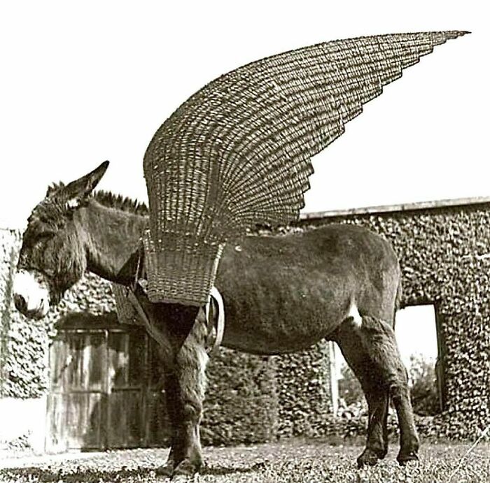 50 Satisfying Pics Of Intentional And Accidental Art, As Shared On “Lost Found Art” 50 Satisfying Pics Of Intentional And Accidental Art, As Shared On “Lost Found Art”