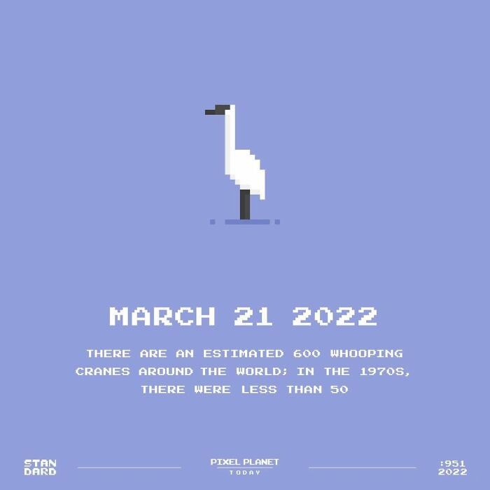 Through &#8220;Pixel Planet Today&#8221;, I Transform Environmental Facts Into Pixel Art To Spread Awareness (30 Pics)