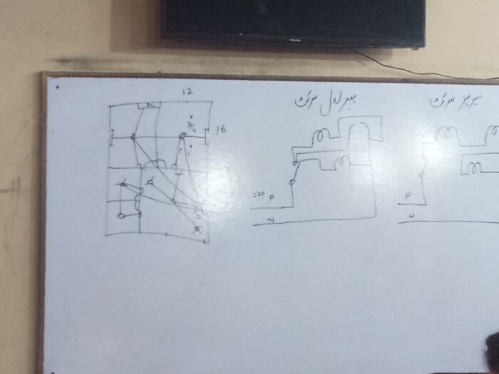 15 Of The Best Unprofessional Photos Of Flowers I Took