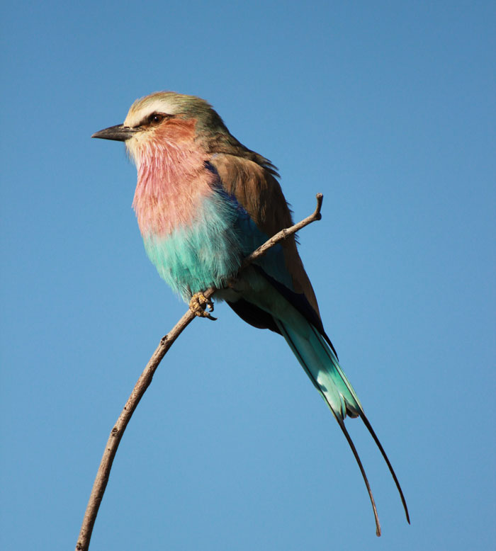 50 Cheap Hobbies These People Swear By 50 Cheap Hobbies These People Swear By