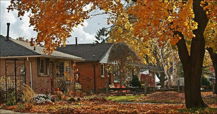 26 Organizations In Modern Society That Should Be Called Cults Despite Formally Not Called One, According To Folks Online 26 Organizations In Modern Society That Should Be Called Cults Despite Formally Not Called One, According To Folks Online