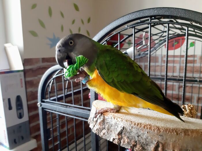 Hey Pandas, Share An Interior Decoration Hack Or Idea That You Use In Your Home (Closed)