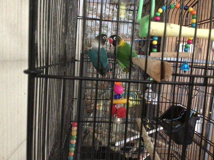 Hey Pandas, Share An Interior Decoration Hack Or Idea That You Use In Your Home (Closed)