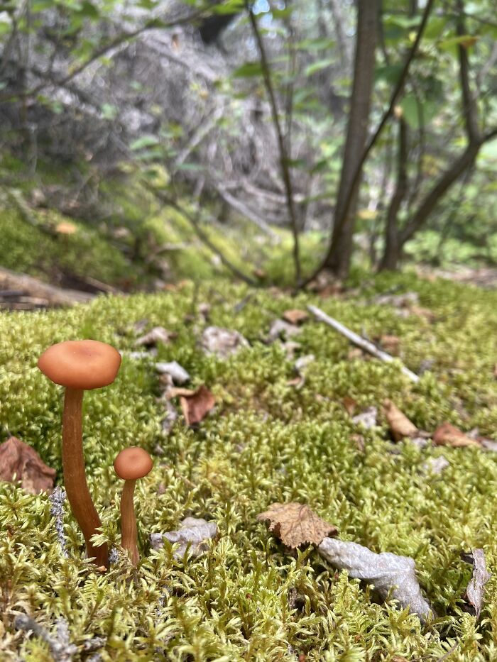 Hey Pandas, Share Something You Made That You Want To Get A Brutally Honest Opinion About (Closed) Hey Pandas, Share Something You Made That You Want To Get A Brutally Honest Opinion About (Closed)