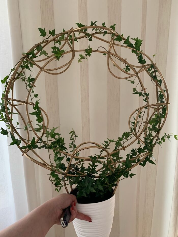 Hey Pandas, Share Something You Made That You Want To Get A Brutally Honest Opinion About (Closed) Hey Pandas, Share Something You Made That You Want To Get A Brutally Honest Opinion About (Closed)