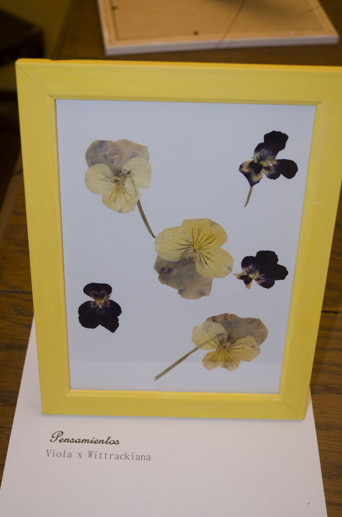 Hey Pandas, Share Something You Made That You Want To Get A Brutally Honest Opinion About (Closed) Hey Pandas, Share Something You Made That You Want To Get A Brutally Honest Opinion About (Closed)