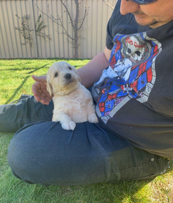 124 Funny Skeptical Animals To Make Your Day Perfect 124 Funny Skeptical Animals To Make Your Day Perfect