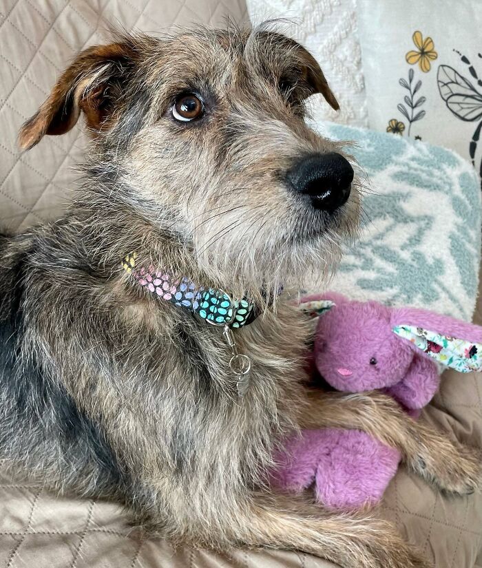 124 Funny Skeptical Animals To Make Your Day Perfect 124 Funny Skeptical Animals To Make Your Day Perfect