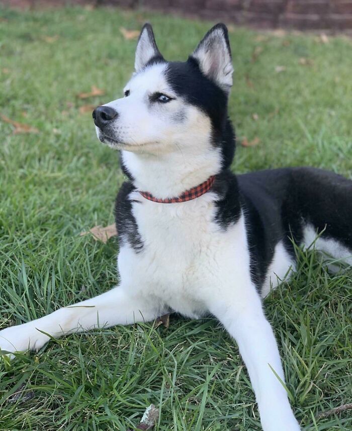 124 Funny Skeptical Animals To Make Your Day Perfect 124 Funny Skeptical Animals To Make Your Day Perfect