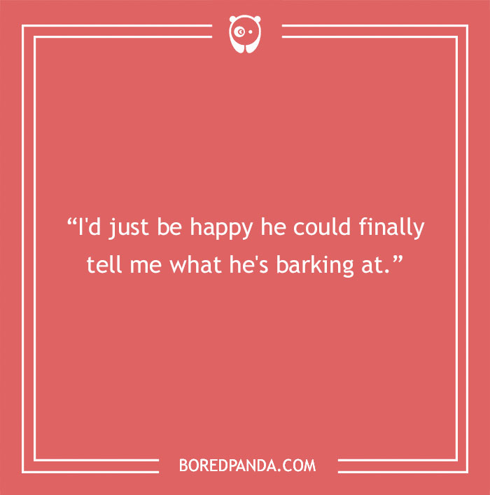 58 Scenarios That We Might Encounter If Dogs Could Talk