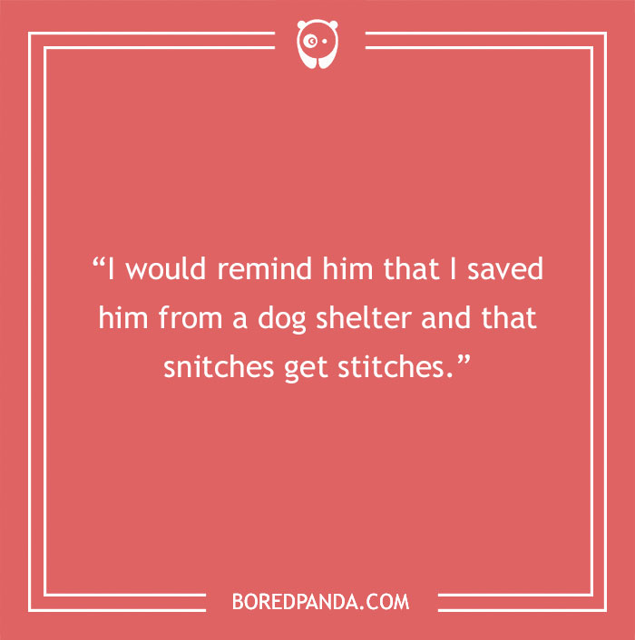 58 Scenarios That We Might Encounter If Dogs Could Talk