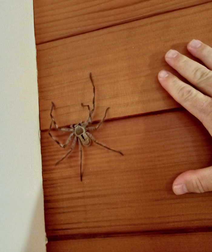 These 50 People Came Across The Most Horrific Things Mother Nature Ever Produced, Took Pics And Shared Them Online These 50 People Came Across The Most Horrific Things Mother Nature Ever Produced, Took Pics And Shared Them Online