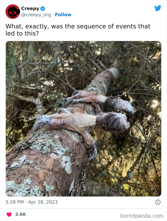 This Twitter Account Is About All Things Creepy, And Here Are 40 Of Their Most Chilling Posts