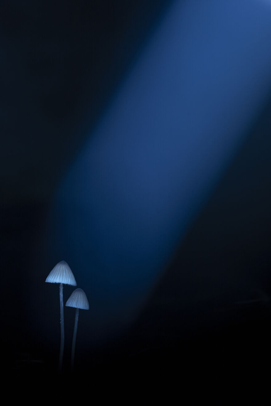 31 Of The Most Stunning Pics That Nailed The Close-Up Photographer Of The Year 2022’s “Minimal” Challenge 31 Of The Most Stunning Pics That Nailed The Close-Up Photographer Of The Year 2022’s “Minimal” Challenge