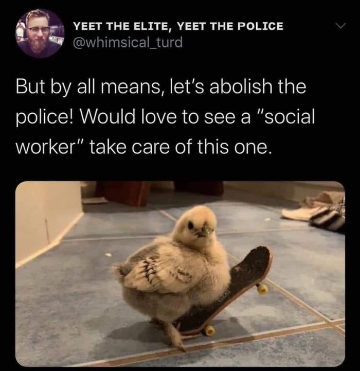 50 “Cursed” Pictures Shared By The ‘Birds With Threatening Auras’ Online Page 50 “Cursed” Pictures Shared By The ‘Birds With Threatening Auras’ Online Page