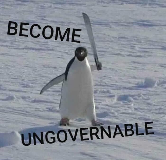 50 “Cursed” Pictures Shared By The ‘Birds With Threatening Auras’ Online Page 50 “Cursed” Pictures Shared By The ‘Birds With Threatening Auras’ Online Page