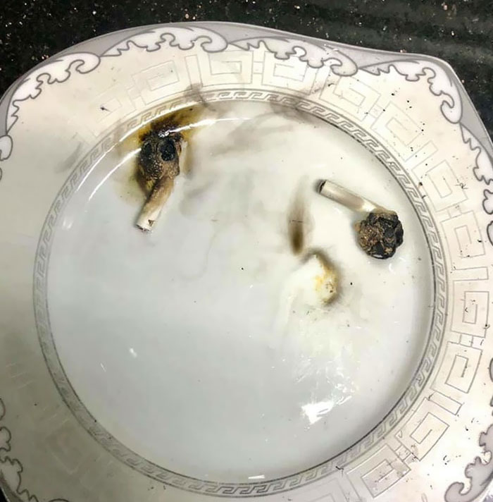 “Never Microwave Eggs”: 50 Times People Learned The Hard Way How NOT To Use A Microwave