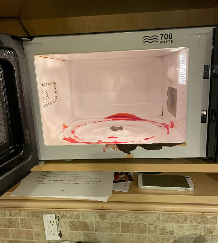 “Never Microwave Eggs”: 50 Times People Learned The Hard Way How NOT To Use A Microwave