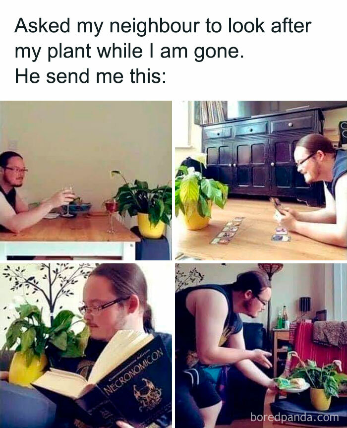 50 Posts For You To Scroll Through While Sipping Tea 50 Posts For You To Scroll Through While Sipping Tea