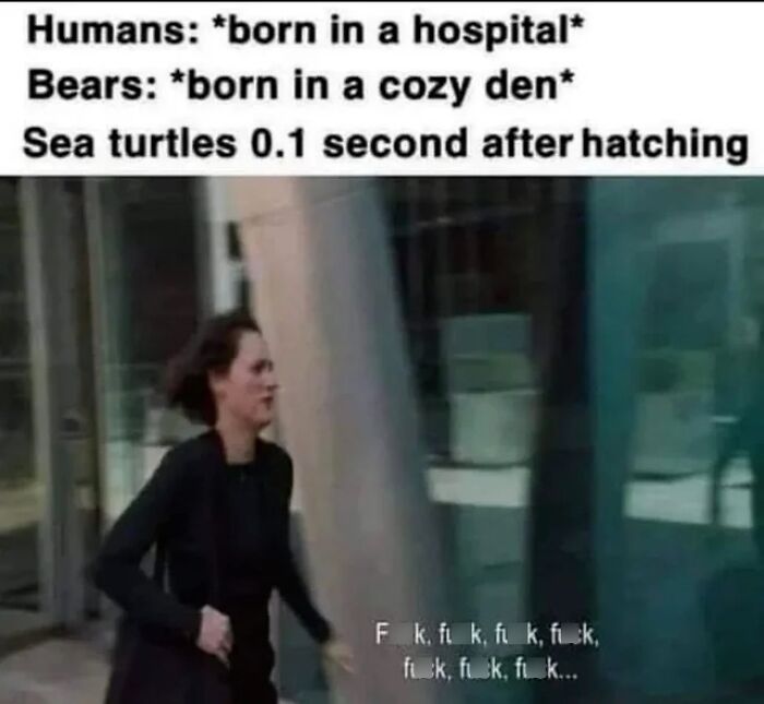 50 Funny Instagram Memes That Might Make You Chuckle 50 Funny Instagram Memes That Might Make You Chuckle