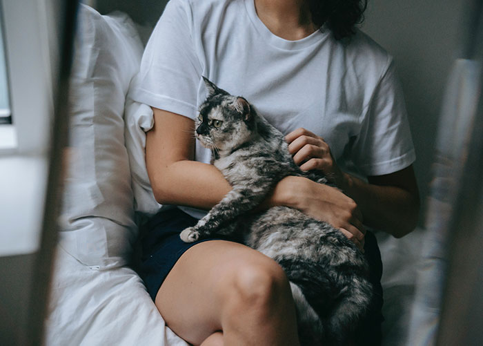 “It’s Ruined Me Forever”: 30 People Share What They Became Obsessed With Once They’d Tried It Once “It’s Ruined Me Forever”: 30 People Share What They Became Obsessed With Once They’d Tried It Once