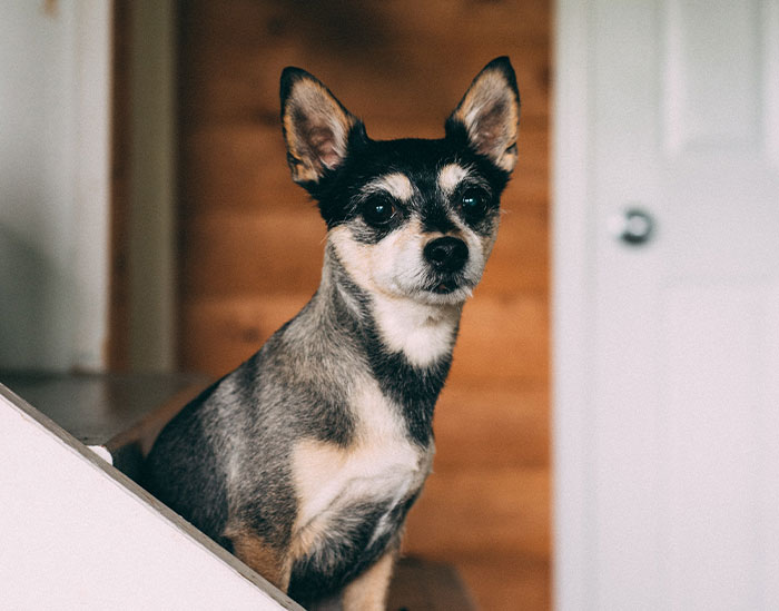 “It’s Ruined Me Forever”: 30 People Share What They Became Obsessed With Once They’d Tried It Once “It’s Ruined Me Forever”: 30 People Share What They Became Obsessed With Once They’d Tried It Once