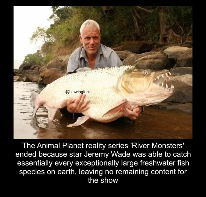 This Instagram Account Shares Fascinating Fun Facts You Probably Didn’t Learn In School, Here Are 50 Of Their Best Posts This Instagram Account Shares Fascinating Fun Facts You Probably Didn’t Learn In School, Here Are 50 Of Their Best Posts