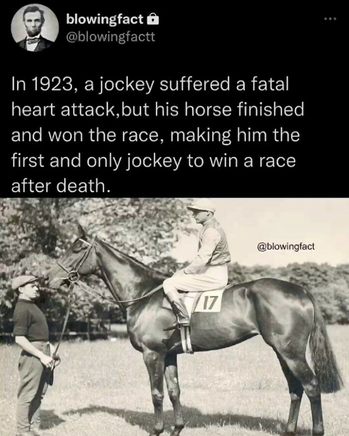 This Instagram Account Shares Fascinating Fun Facts You Probably Didn’t Learn In School, Here Are 50 Of Their Best Posts This Instagram Account Shares Fascinating Fun Facts You Probably Didn’t Learn In School, Here Are 50 Of Their Best Posts