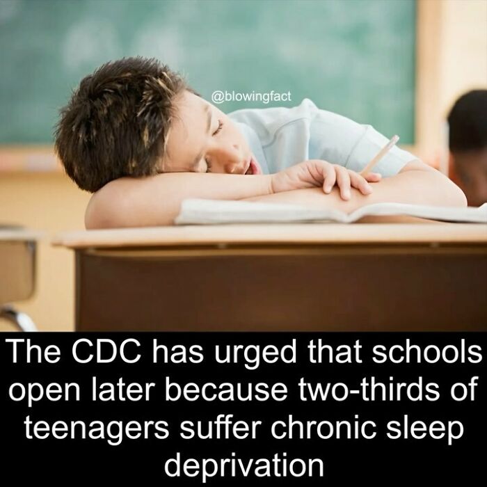 This Instagram Account Shares Fascinating Fun Facts You Probably Didn’t Learn In School, Here Are 50 Of Their Best Posts This Instagram Account Shares Fascinating Fun Facts You Probably Didn’t Learn In School, Here Are 50 Of Their Best Posts