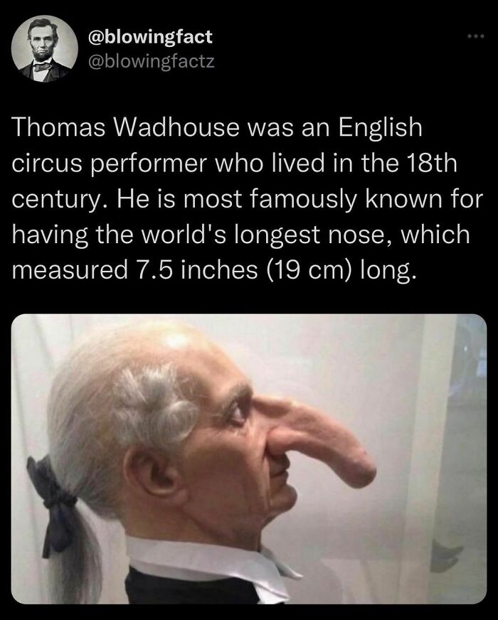 This Instagram Account Shares Fascinating Fun Facts You Probably Didn’t Learn In School, Here Are 50 Of Their Best Posts This Instagram Account Shares Fascinating Fun Facts You Probably Didn’t Learn In School, Here Are 50 Of Their Best Posts