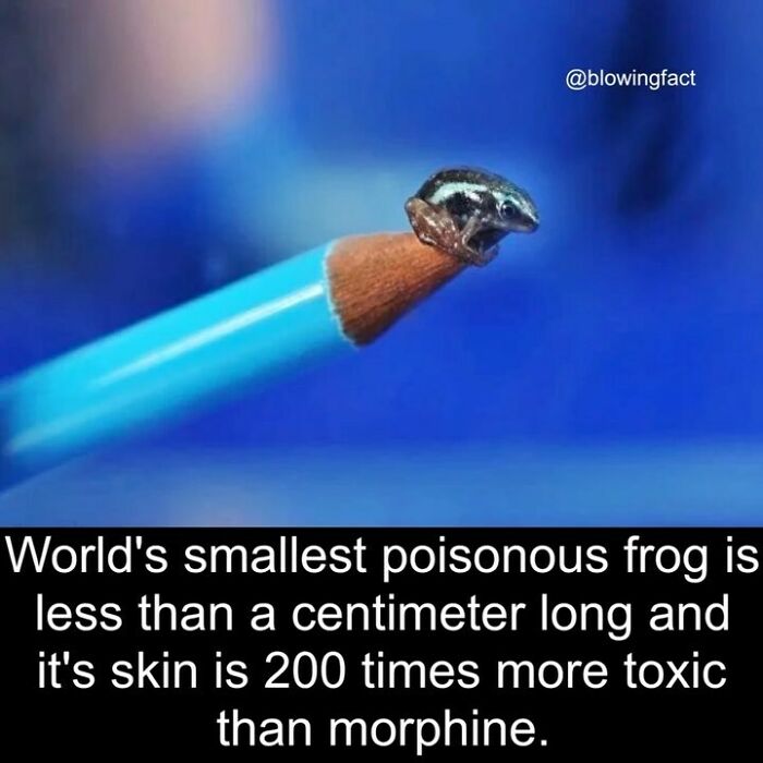 This Instagram Account Shares Fascinating Fun Facts You Probably Didn’t Learn In School, Here Are 50 Of Their Best Posts This Instagram Account Shares Fascinating Fun Facts You Probably Didn’t Learn In School, Here Are 50 Of Their Best Posts