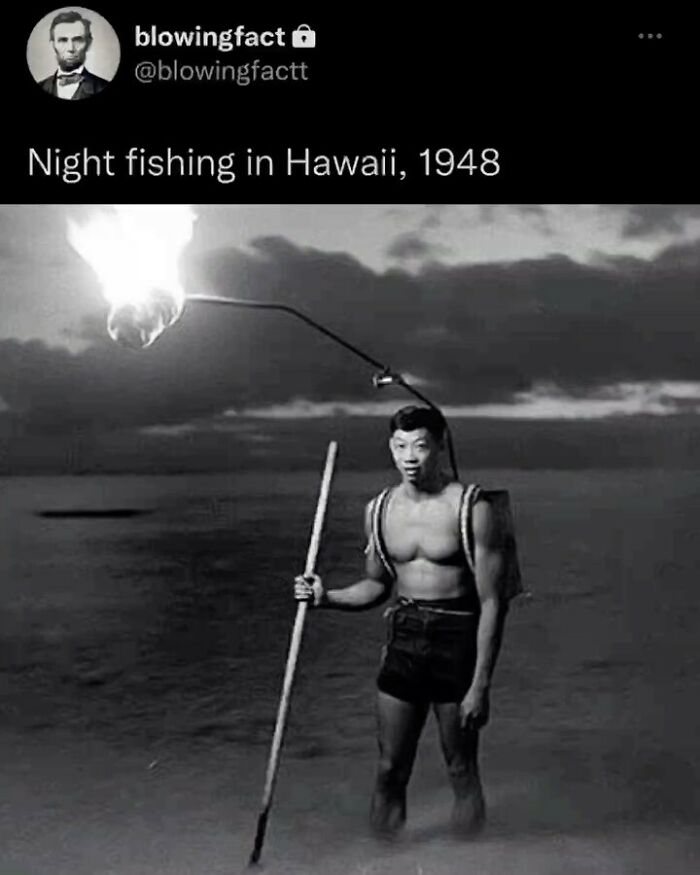 This Instagram Account Shares Fascinating Fun Facts You Probably Didn’t Learn In School, Here Are 50 Of Their Best Posts This Instagram Account Shares Fascinating Fun Facts You Probably Didn’t Learn In School, Here Are 50 Of Their Best Posts