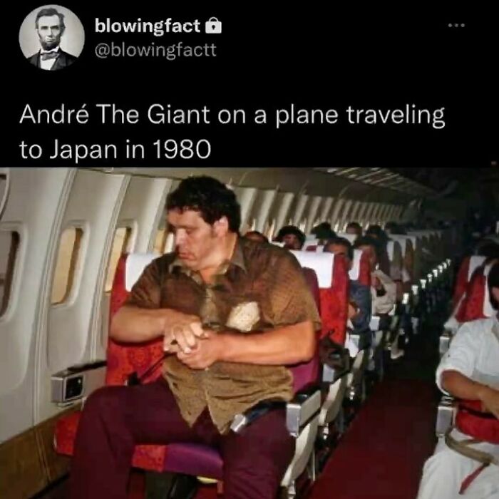 This Instagram Account Shares Fascinating Fun Facts You Probably Didn’t Learn In School, Here Are 50 Of Their Best Posts This Instagram Account Shares Fascinating Fun Facts You Probably Didn’t Learn In School, Here Are 50 Of Their Best Posts