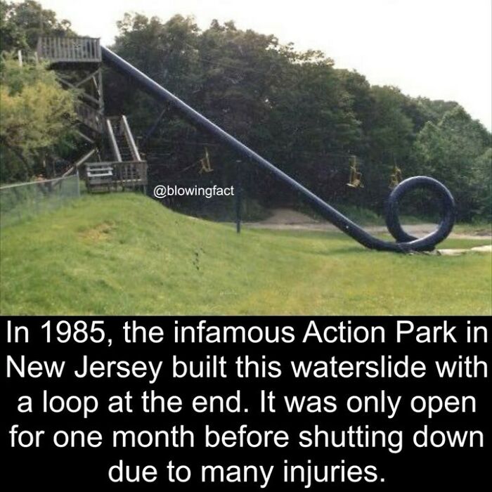 This Instagram Account Shares Fascinating Fun Facts You Probably Didn’t Learn In School, Here Are 50 Of Their Best Posts This Instagram Account Shares Fascinating Fun Facts You Probably Didn’t Learn In School, Here Are 50 Of Their Best Posts