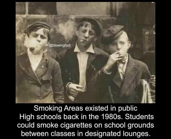 This Instagram Account Shares Fascinating Fun Facts You Probably Didn’t Learn In School, Here Are 50 Of Their Best Posts This Instagram Account Shares Fascinating Fun Facts You Probably Didn’t Learn In School, Here Are 50 Of Their Best Posts