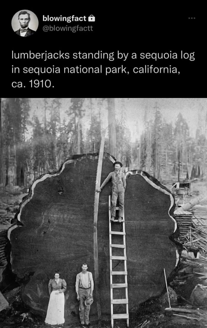 This Instagram Account Shares Fascinating Fun Facts You Probably Didn’t Learn In School, Here Are 50 Of Their Best Posts This Instagram Account Shares Fascinating Fun Facts You Probably Didn’t Learn In School, Here Are 50 Of Their Best Posts