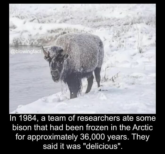 This Instagram Account Shares Fascinating Fun Facts You Probably Didn’t Learn In School, Here Are 50 Of Their Best Posts This Instagram Account Shares Fascinating Fun Facts You Probably Didn’t Learn In School, Here Are 50 Of Their Best Posts