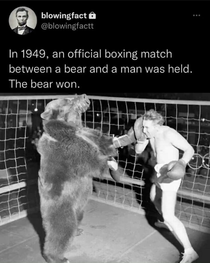 This Instagram Account Shares Fascinating Fun Facts You Probably Didn’t Learn In School, Here Are 50 Of Their Best Posts This Instagram Account Shares Fascinating Fun Facts You Probably Didn’t Learn In School, Here Are 50 Of Their Best Posts